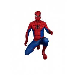 Kostým pro dospělé Spiderman